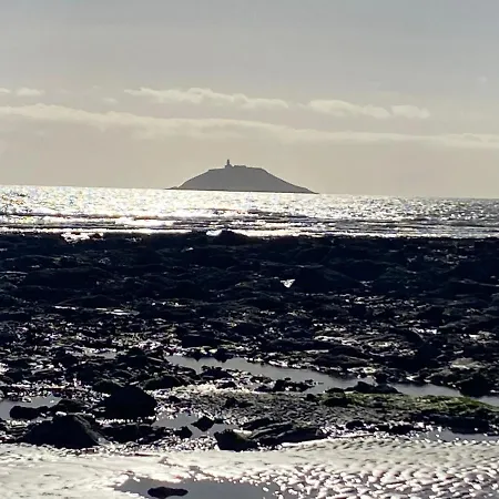 Sanctuary * コーク