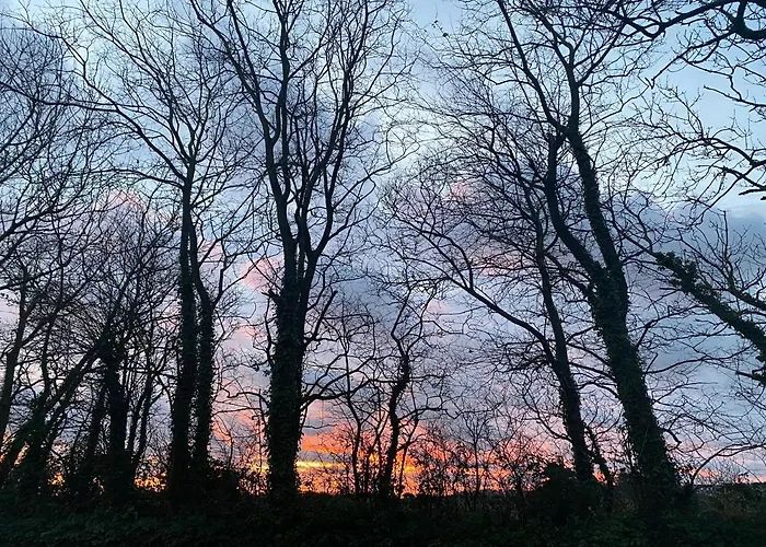 Sanctuary Tatil Evi Cork