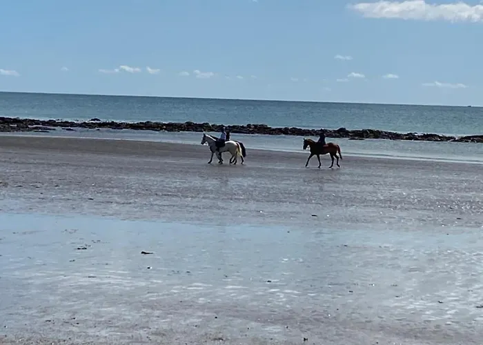 Ferienhaus Sanctuary Cork